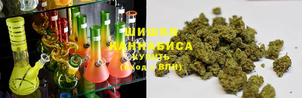 тгк Арсеньев