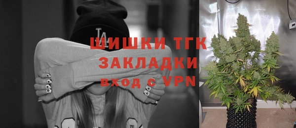 тгк Арсеньев