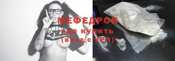 сатива Новодвинск