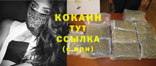 тгк Арсеньев