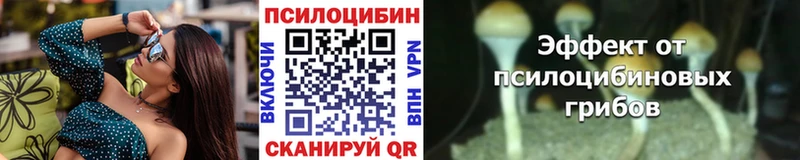 Псилоцибиновые грибы Psilocybine cubensis дарнет шоп Собинка